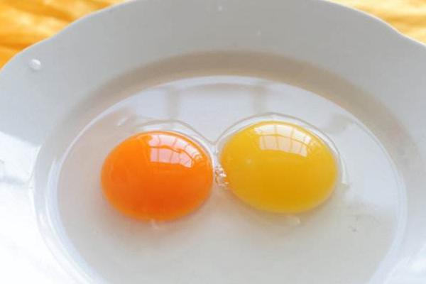海鸭蛋和普通鸭蛋的区别是什么 海鸭蛋的营养价值