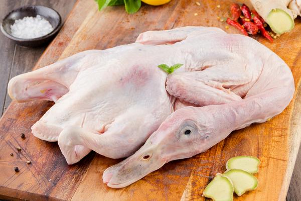土番鸭和正番鸭的区别是什么 番鸭营养价值