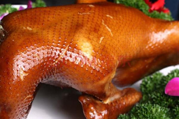 老鸭子炖什么最营养 鸭子烧什么好吃