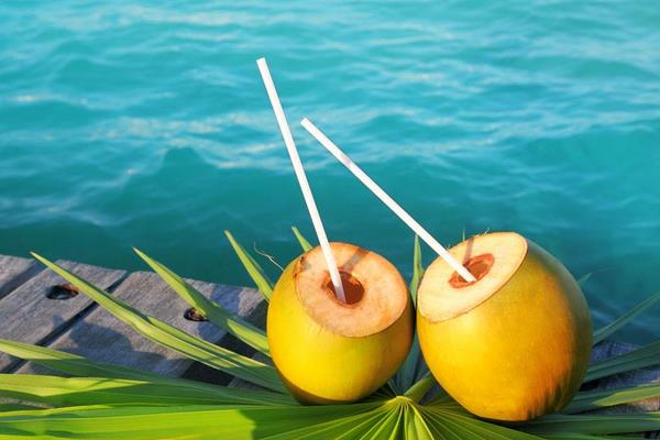 椰汁热量是多少 喝椰汁会胖吗