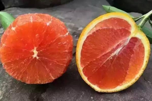 红橙和血橙的区别是什么 血橙的食用价值