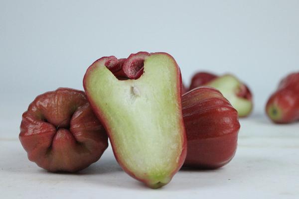 莲雾是什么季节的水果 莲雾什么时候上市（几月）