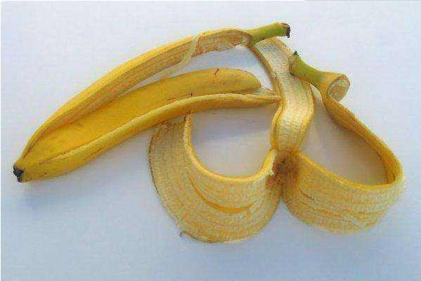 香蕉皮可以制肥料吗 香蕉皮可以泡水浇花吗
