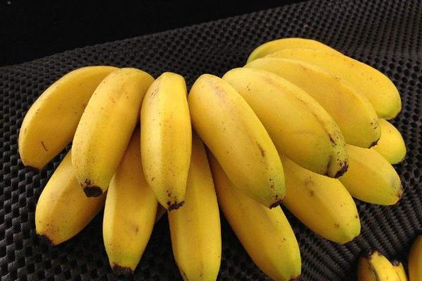 香蕉和芭蕉的区别是什么 香蕉的功效与作用