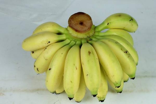 帝王香蕉和普通香蕉的区别是什么 帝王蕉的市场价格