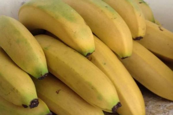 帝王香蕉和普通香蕉的区别是什么 帝王蕉的市场价格