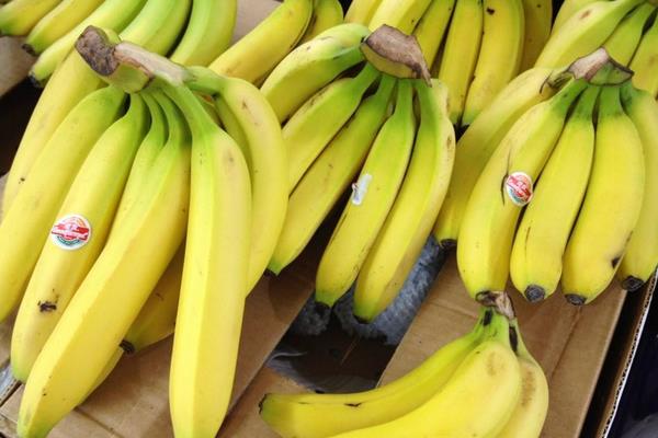 香蕉长在哪里 如何挑选香蕉