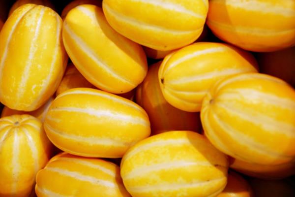 黄河蜜和黄金瓜的区别是什么 黄河蜜的功效与作用