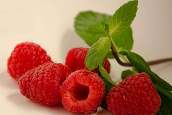 桑葚和树莓的区别是什么 树莓就是桑葚吗