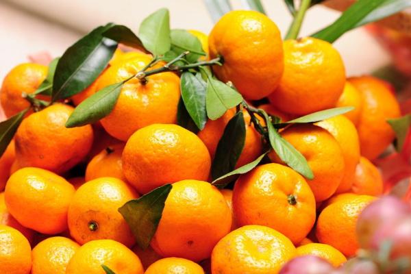 橘子吃多了会怎样 胃不好能吃橘子吗 
