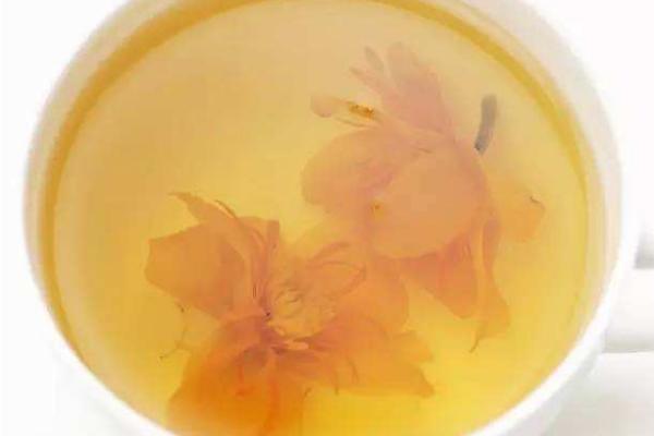 金莲花泡水用几朵 金莲花茶可以长期喝吗