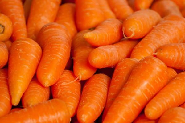 红萝卜是胡萝卜吗 胡萝卜和红萝卜有什么区别