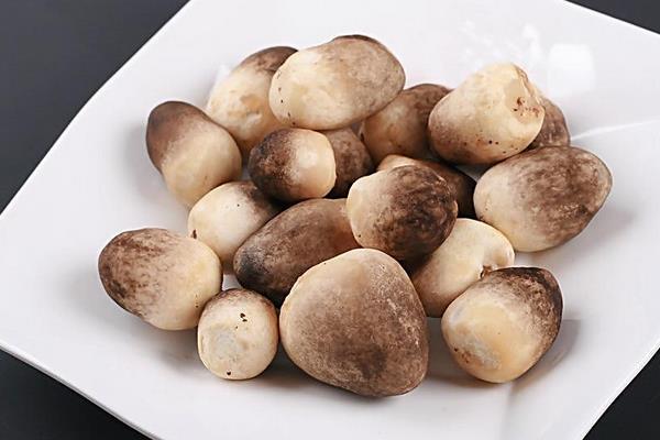 草菇图片大全 草菇是什么