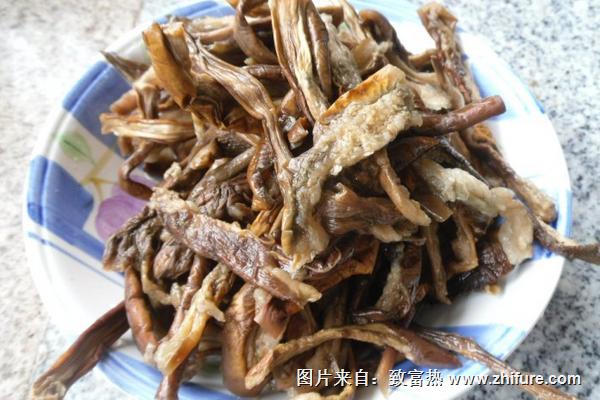 茄子干的功效与作用及禁忌