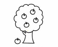 苹果树简笔画（图解步骤）