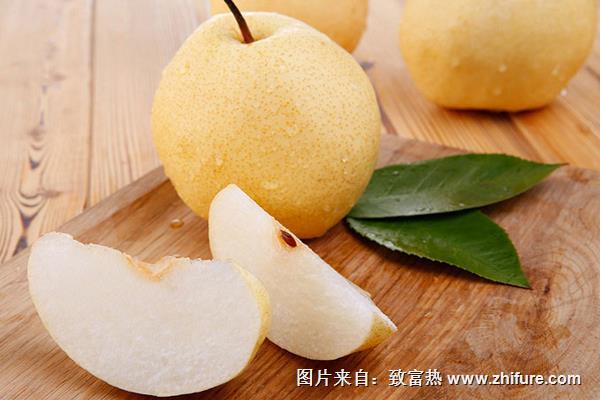 贡梨图片大全