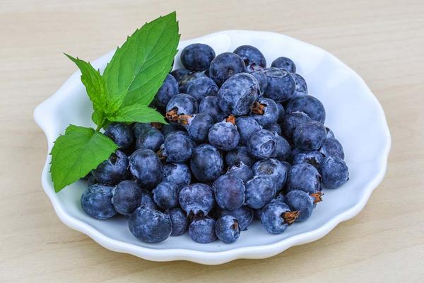 蓝莓营养价值