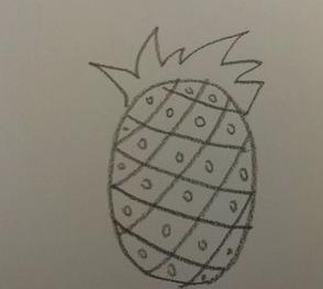菠萝简笔画步骤（图解）