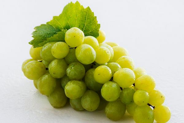 绿葡萄的功效与作用及禁忌