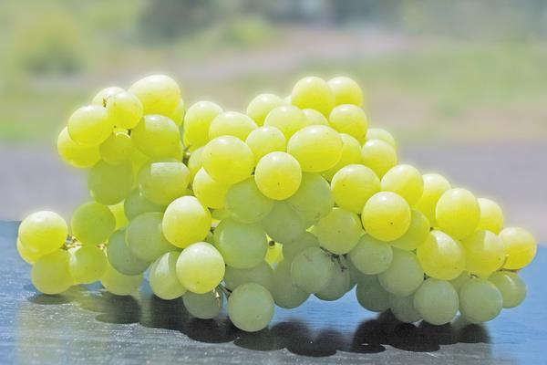 绿葡萄营养价值