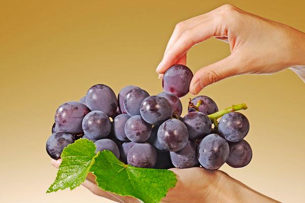 巨峰葡萄的营养价值