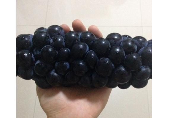 夏黑葡萄的营养价值
