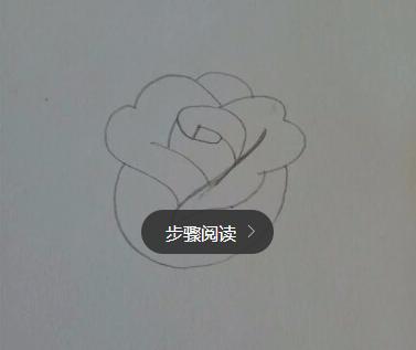 玫瑰花简笔画怎么画（图解步骤）