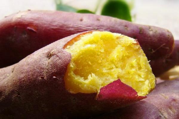 红薯功效与作用及禁忌