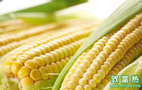 玉米的功效与作用 玉米怎么做好吃