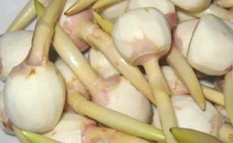 慈菇的营养价值和功效 慈菇的食用禁忌