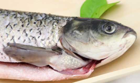 草鱼的营养价值和功效 草鱼的食用方法