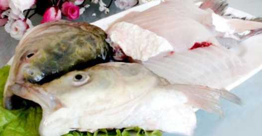 草鱼的营养价值和功效 草鱼的食用方法