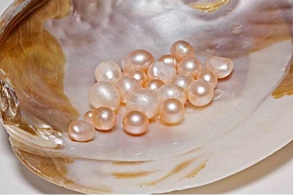 梦见珍珠是什么意思 梦到别人送自己很多珍珠有什么预兆