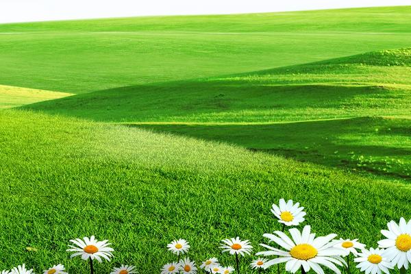 梦见绿色的草是什么意思 女人梦到拔草有什么预兆