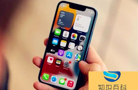 iPhone14买首发还是双十一3