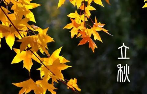 2022年立秋办升学宴好吗3
