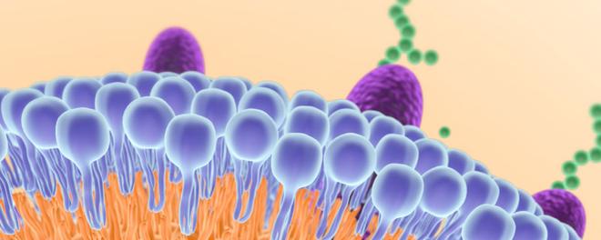 一个dna分子上有多少基因 每个dna分子上有几个基因