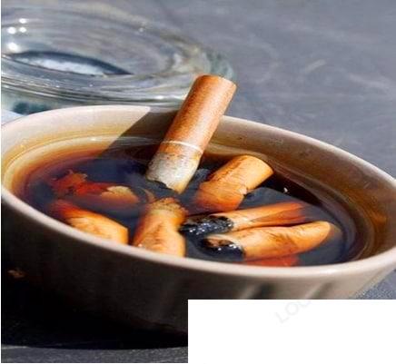 香烟泡水杀虫的方法