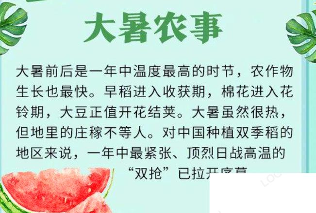 蚂蚁庄园夏季的最后一个节气是什么 小课堂7月23日答案最新