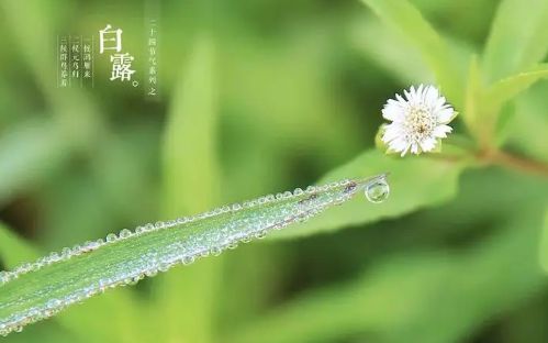 2022白露能穿短袖吗3