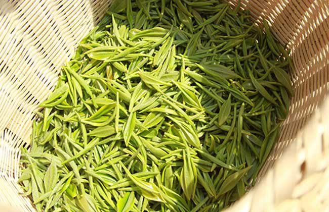 喝信阳毛尖有什么好处(女人喝毛尖茶的好处和坏处)