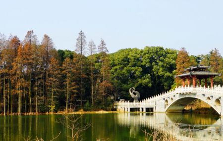 东湖落雁岛和落雁景区是一个地方吗3