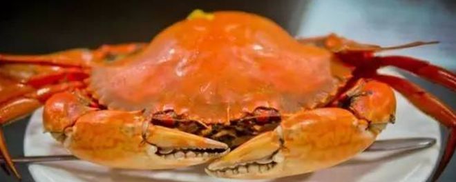 黄油蟹产自哪里，黄油蟹是什么