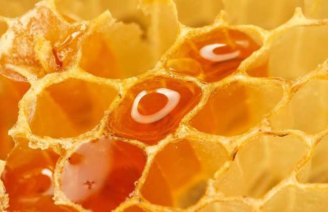 蜂蜜面膜的功效和做法(蜂蜜怎么做面膜最好)