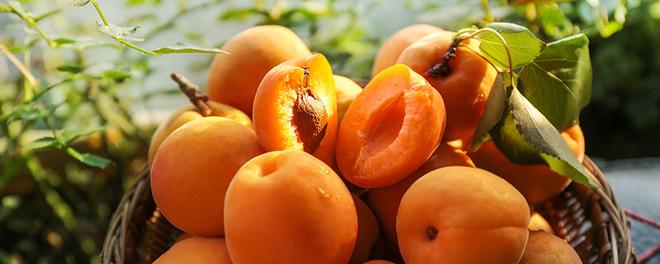 新鲜杏子的皮可以吃吗 新鲜杏子的皮能吃吗