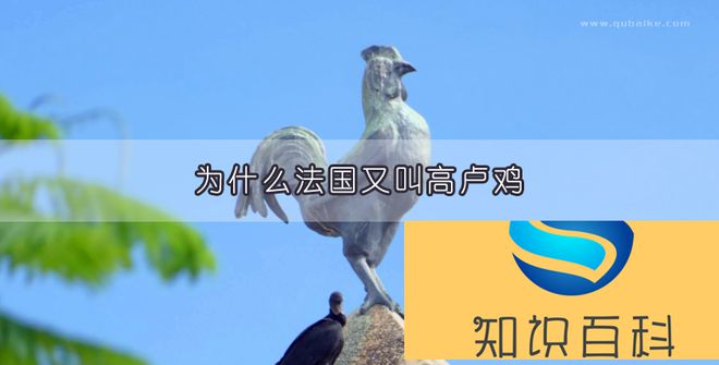 为什么法国又叫高卢鸡