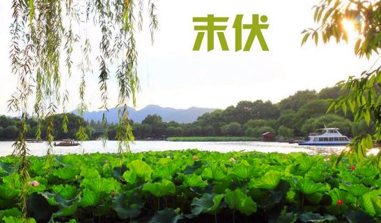 2022末伏后气温能达到多少度2