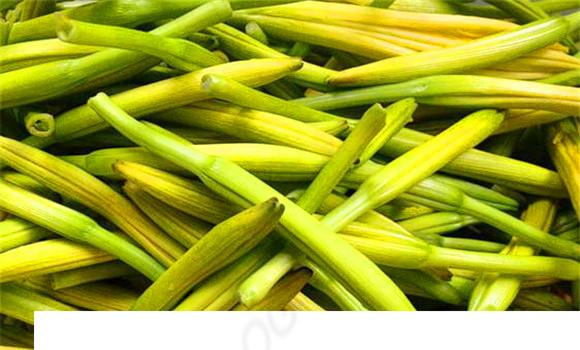 黄花菜的功效与作用 黄花菜的副作用