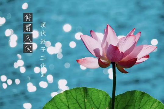三伏天吹风扇好还是空调好1