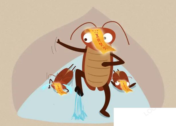 蟑螂为什么杀不完 怎样灭蟑螂最有效